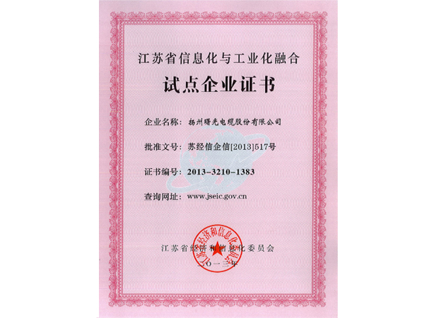 2013年江苏省信息化与工业化融合试点企业证书